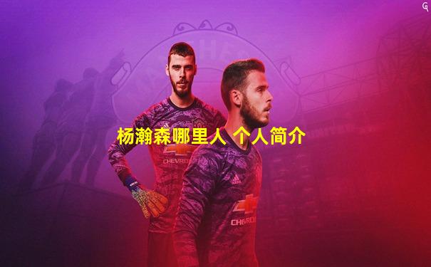 杨瀚森哪里人 个人简介